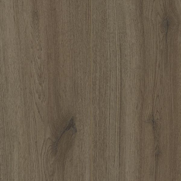 Cleveland Oak lvre1486 