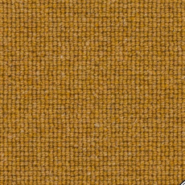Mustard Seed TCC19 