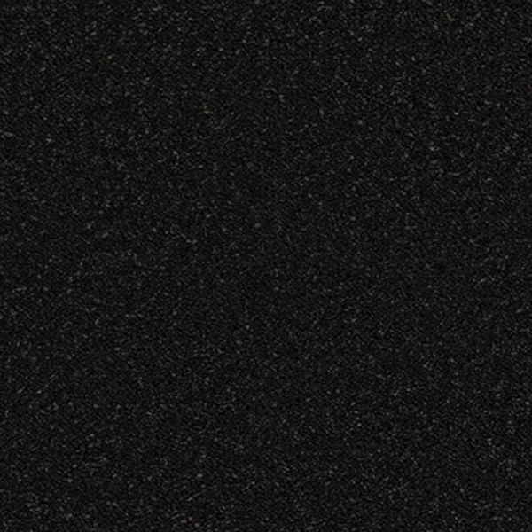 Coal 804