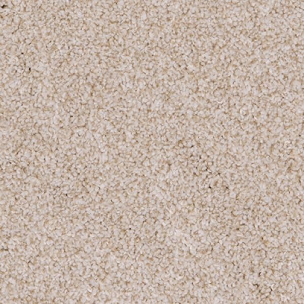 Cotton 03
