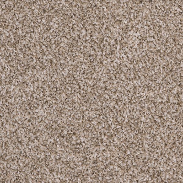 Cocoon Beige 91