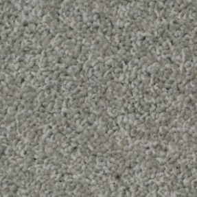 Shingle 12