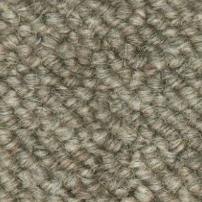 Sugarcane 912