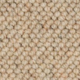 Core Seashell 23