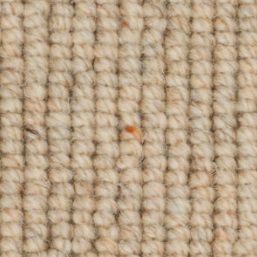 Earth Seashell 23