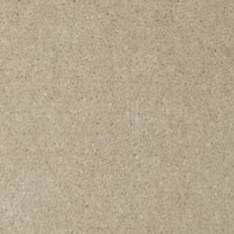 Chamois 8303