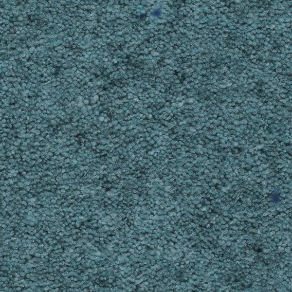 Agave 1220-26254