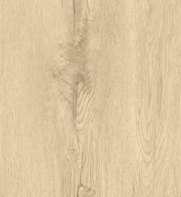 Champagne Oak