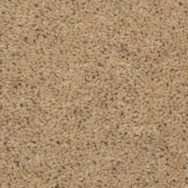 Cornsilk 