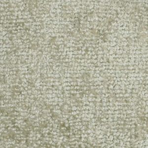 Champagne Fizz (263)