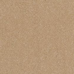 Biscotti NT03 