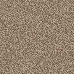 Hazelnut NT07