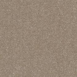 Pale Greige NT04