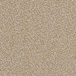 Toasted Oat NT05