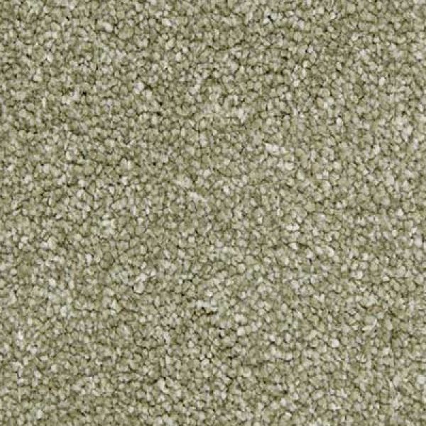 Sage 430