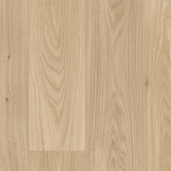 Maple Oak
