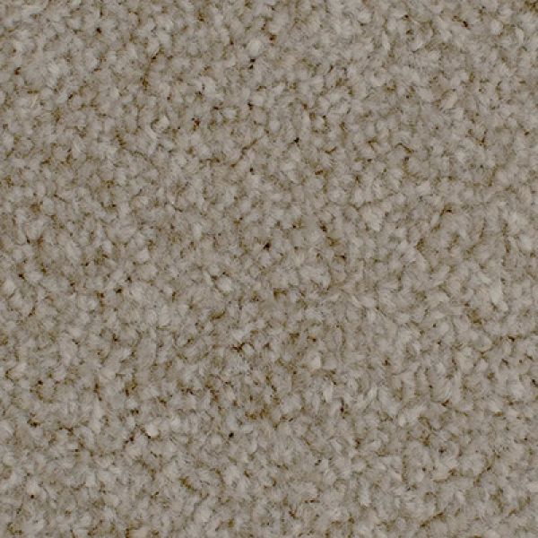 Dune 4002