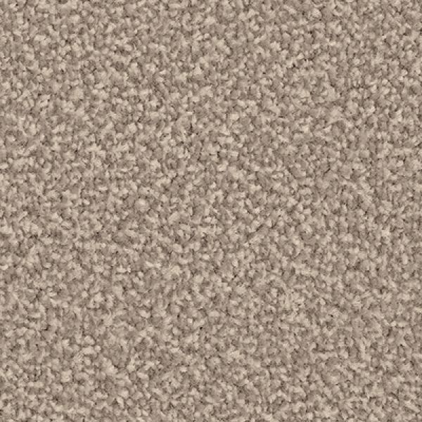 Dune Grass 1363
