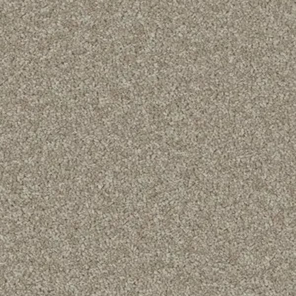 Classic Taupe 2608