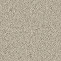Limed Oak