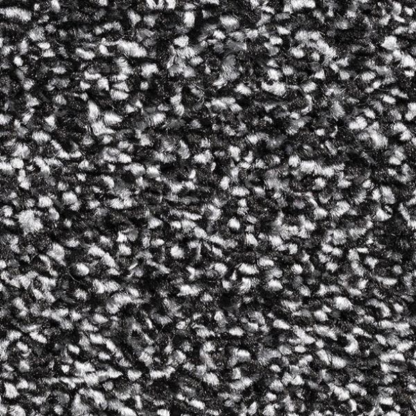 Carbon 79