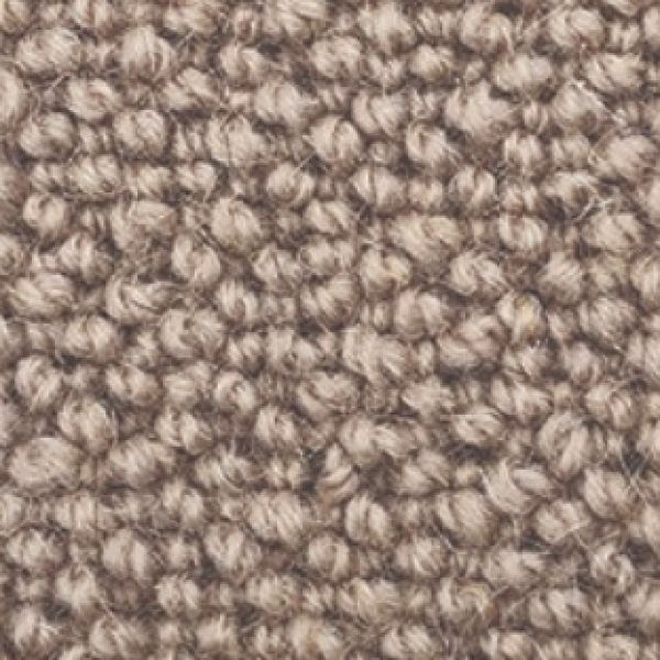 Sea Shell 301