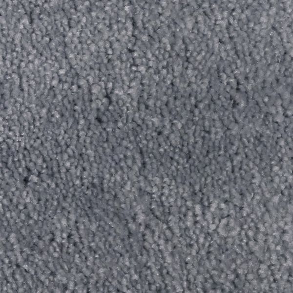 Dolphin Grey