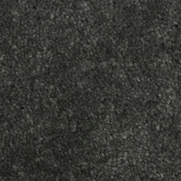 Wolf Grey