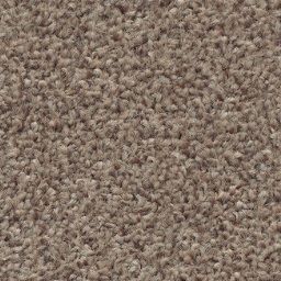 Blonde Oak 31