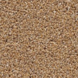 Almond 34