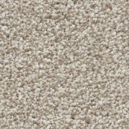 Cocoon Beige 91