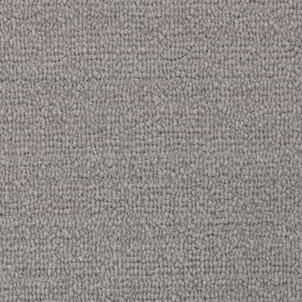 Dove Grey