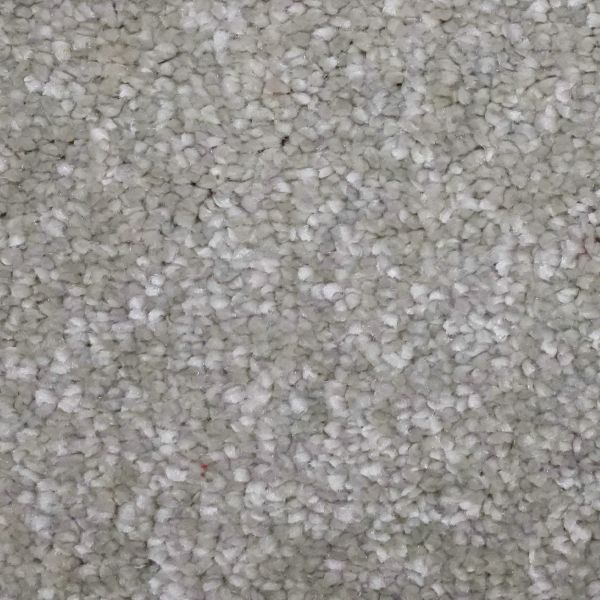 Seashell